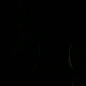 Meet your Posher, Ashara